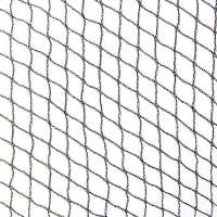 45gsm 2X80M HDPE UV black color Anti Bird net