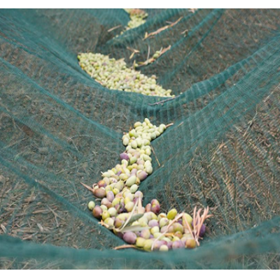 Excellent Quality 100% virgin hdpe olive harvest net