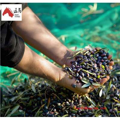 Commercial Cheap uv collecting olive falling nets for sale