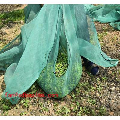 Class A orange uv olive collecting net fruit net for sale