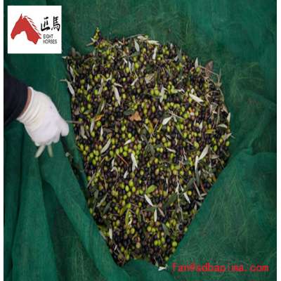 Comfortable Useful Harvest/Collect Olive Nets