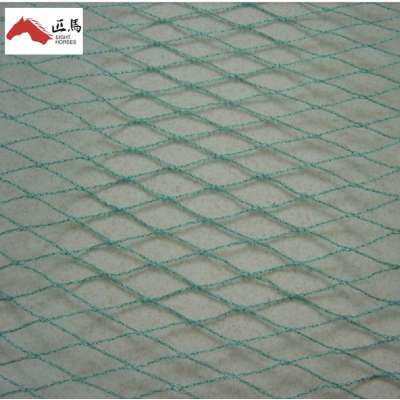 With Reasonable Price Anti Bird Net for Agriculture and Greenhouse