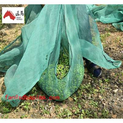 Chinese Credible Supplier harvest olive used olive net