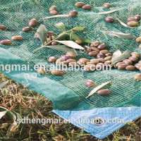 Olive net for harvest