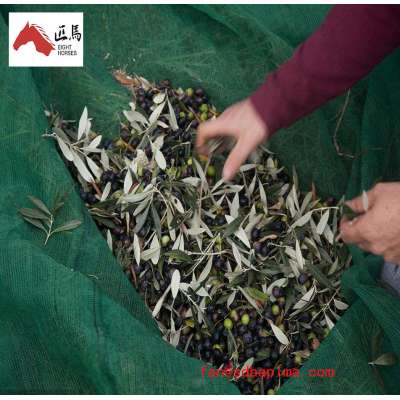 China Supplier Fruit Harvest Nets for Sale