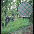 China agricultural plastic net hdpe anti bird net